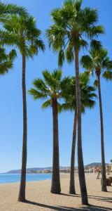 Marina Casares Beachside Apartment