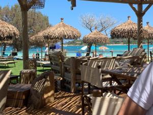 Bouganville