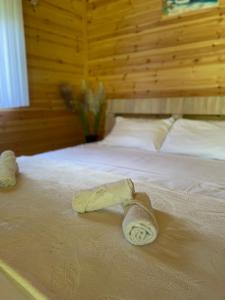 Hotel Restorant Natyra Diber Camping