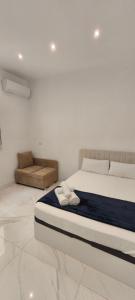 Estudio en la Latina - Madrid