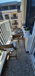 Apartman Dejanović 1