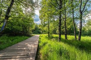 Ferienhaus Naturparadies Rhön