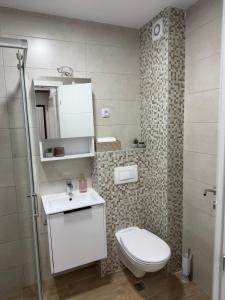 Vasiljević Apartmani Koviljača 1