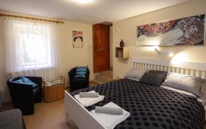 Tokaj-Wine Guesthouse and Spa
