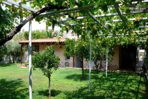 Liberta Ground floor Garden View