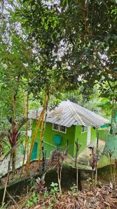 WildCliff pool huts