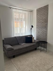 Apartament Lelewela 8