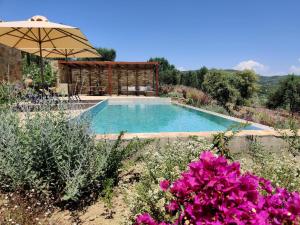 Finca Morea