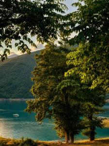 Capital Apartments - Premium luxury by the lake
