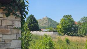 Apartmán Pálava 1 s terasou a výhledem na jezero