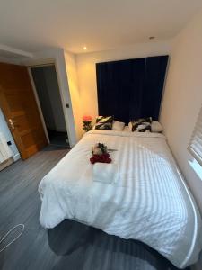 Echelon Executive suite 1