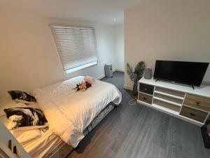 Echelon Executive suite 1