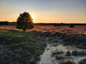 Knus I Tiny house op de Veluwe