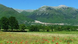Dimora del Capriolo