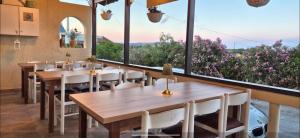Knossos Suite