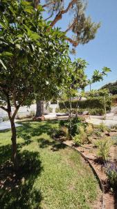 Sun Garden House Athens
