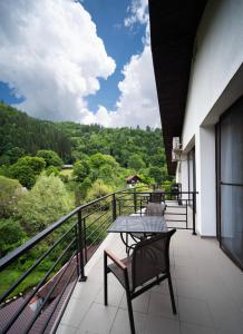 Zan Hotel Voineasa
