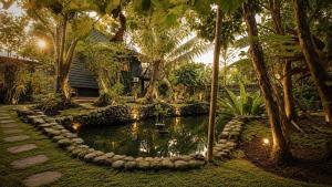 Audis Cabin Jogja in Merapis Foothills
