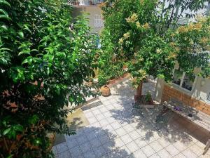 Hem Preveza