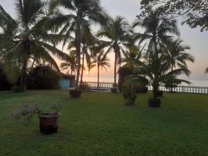 Beach property in tropical garden