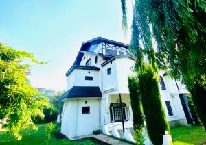Rahat Resort