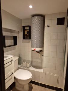 17m2 Flower studio dans le centre historique Ecusson