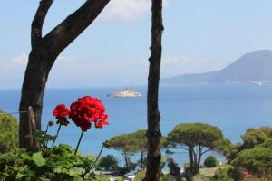 Appartamento Scirocco vista mare a meno di 100 mt dalla spiaggia