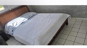 LA Palmeraie cote radieuse