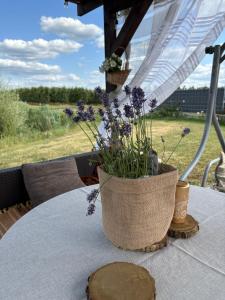 Dolina Królów Czersk glamping pole namiotowe