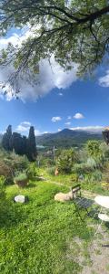 place in paradise