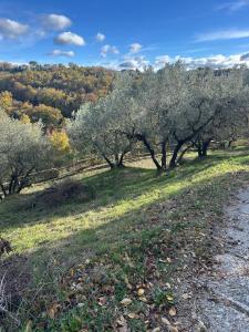 Agriturismo I Colli