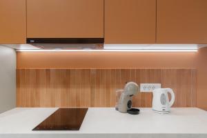 Terra Design Apartment
