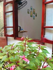 Mushroom Homestay - Tour & Travel