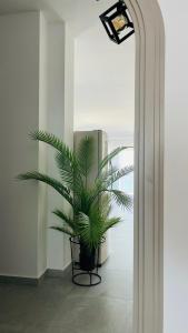 Primea Private Apartments