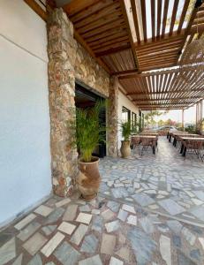 Aegean Pearl Tigaki