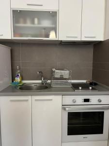 Kolevski Apartments in City Center Free Parking