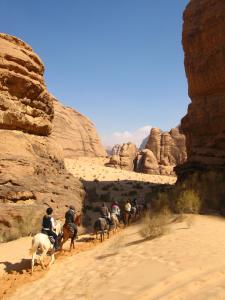 Jordan Nomads- Camping and Tours