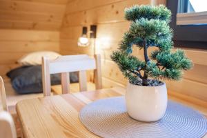 Urbar House - Domek Sowy