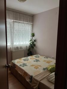 Apartman Mili-Roda