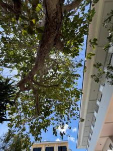Amaya Bloom Resort & Spa