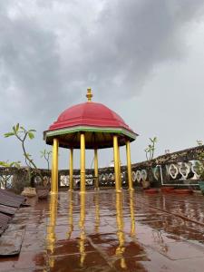 Umbrella Comfy Stays - Kuppu