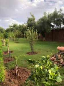 Beautiful Villa with Private Pool & Garden