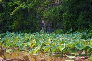 Tam Coc Aurora Valley 2