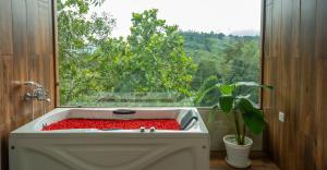 Misty Lake Resorts Munnar By Sylora Hotels