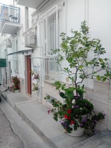 CASA COTA