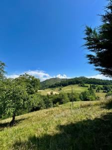 Apartamento Rural El Nisperu