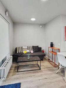 Spacious Downtown Reykjavik Apartment & Walk Everywhere