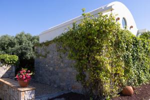 Odette Pansiyon Bodrum