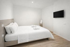 Vatican Luxury 2BR Apartment, Near San Pietro
