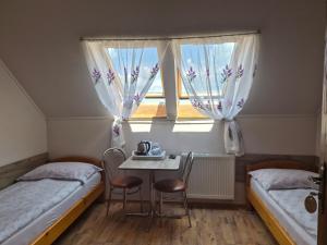 Willa Diana- z panoramą jeziora i gór w Polańczyku